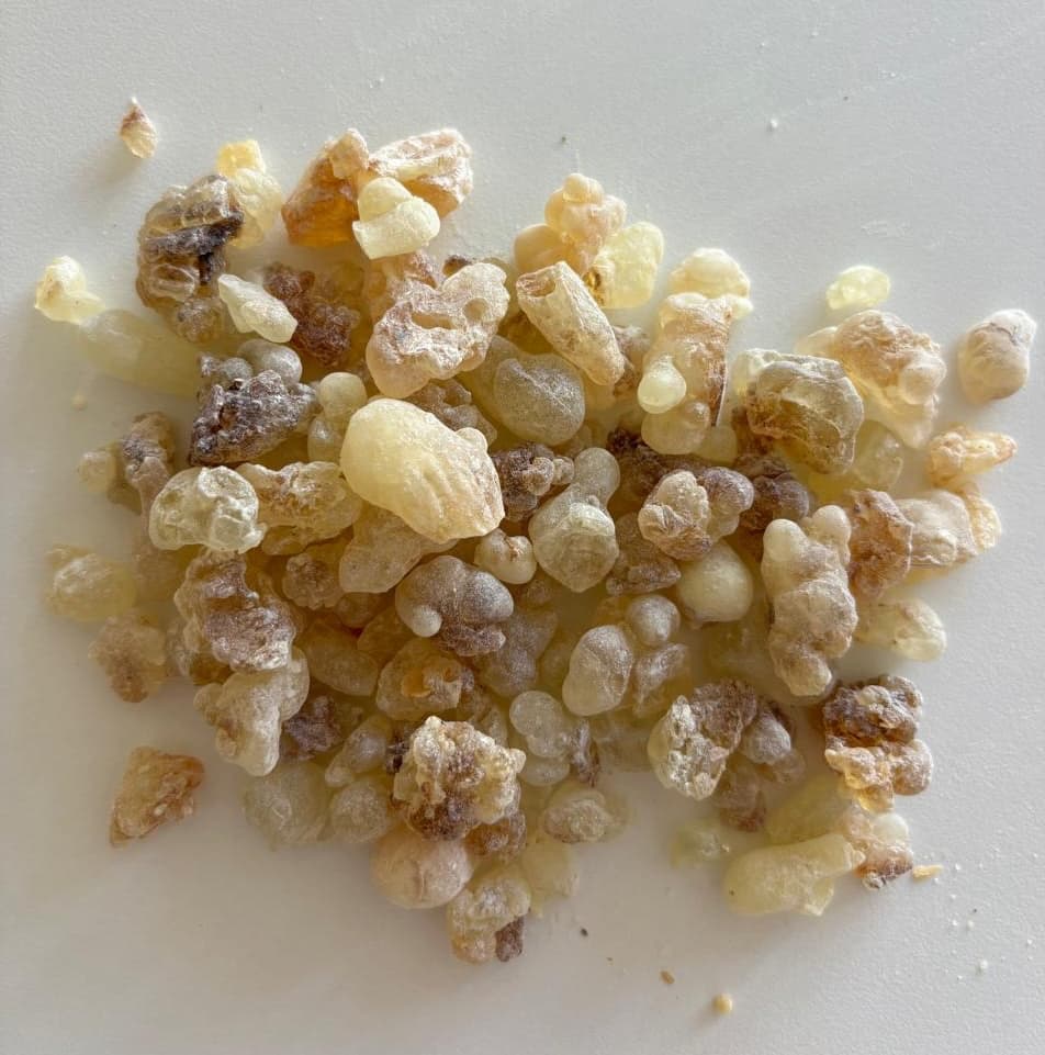 Oman Frankincense — Boswellia sacra: The Sacred Resin of Purification and Elevation