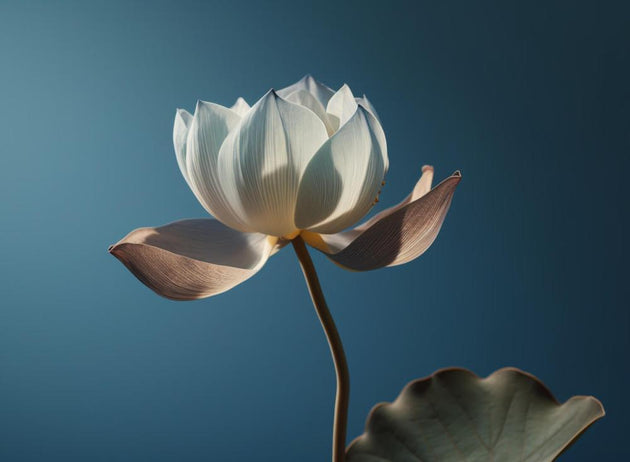 Guided meditation for 5th Chakra activation – throat energy, self-expression, authentic communication | Anagennisi Academy