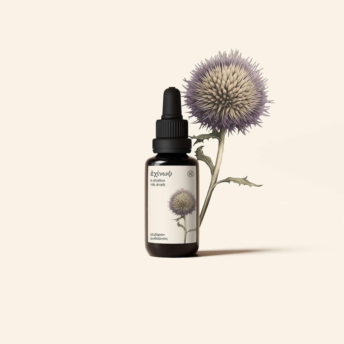 Echinops Flower Essence – Natural Healing by Anagennisi Academy