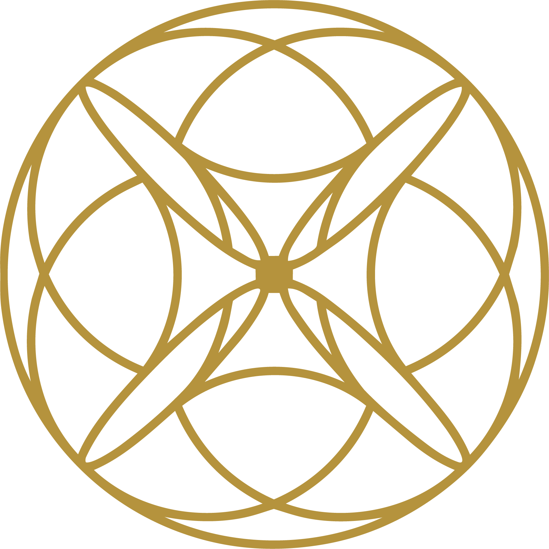 Anagennisi Academy logo