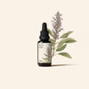 Agnos flower essence – the flexibility of the soul. Natural Anagennisi elixir for inner balance and spiritual clarity. Bottle of essential oil with a botanical illustration on a beige background