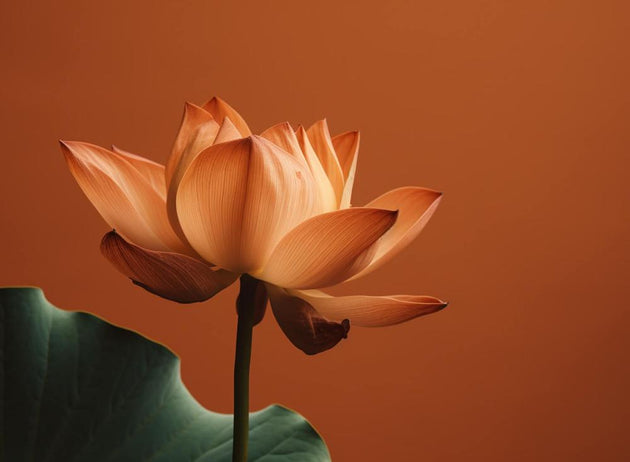 Guided meditation for 2nd Chakra activation – sacral energy, creativity, joy of life | Anagennisi Academy